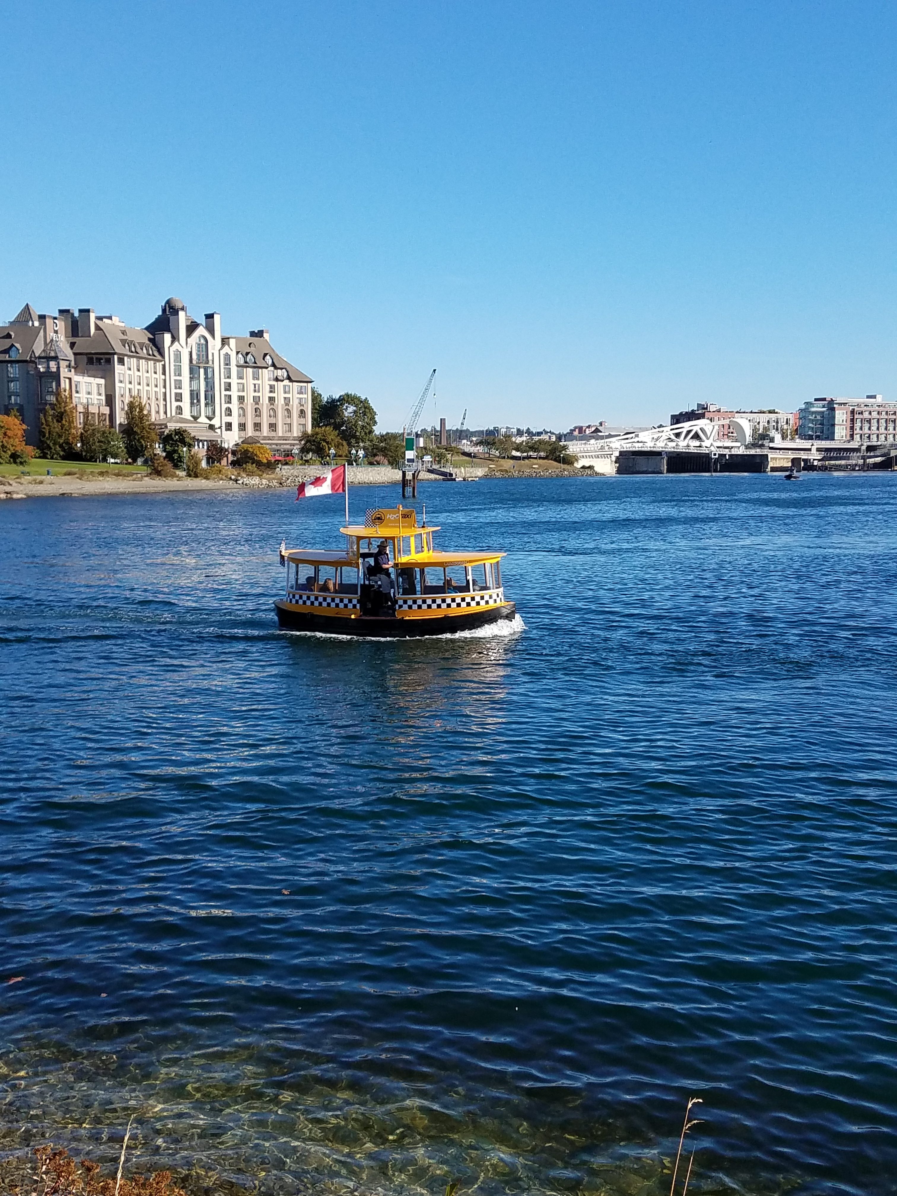 Victoria, BC: A Sunny Morning Harbour Walk on Our Last Port of Call