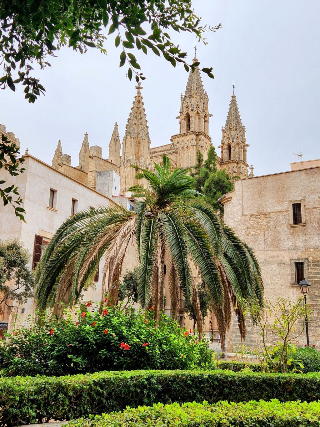 Last port of Spain: Palma Mallorca.