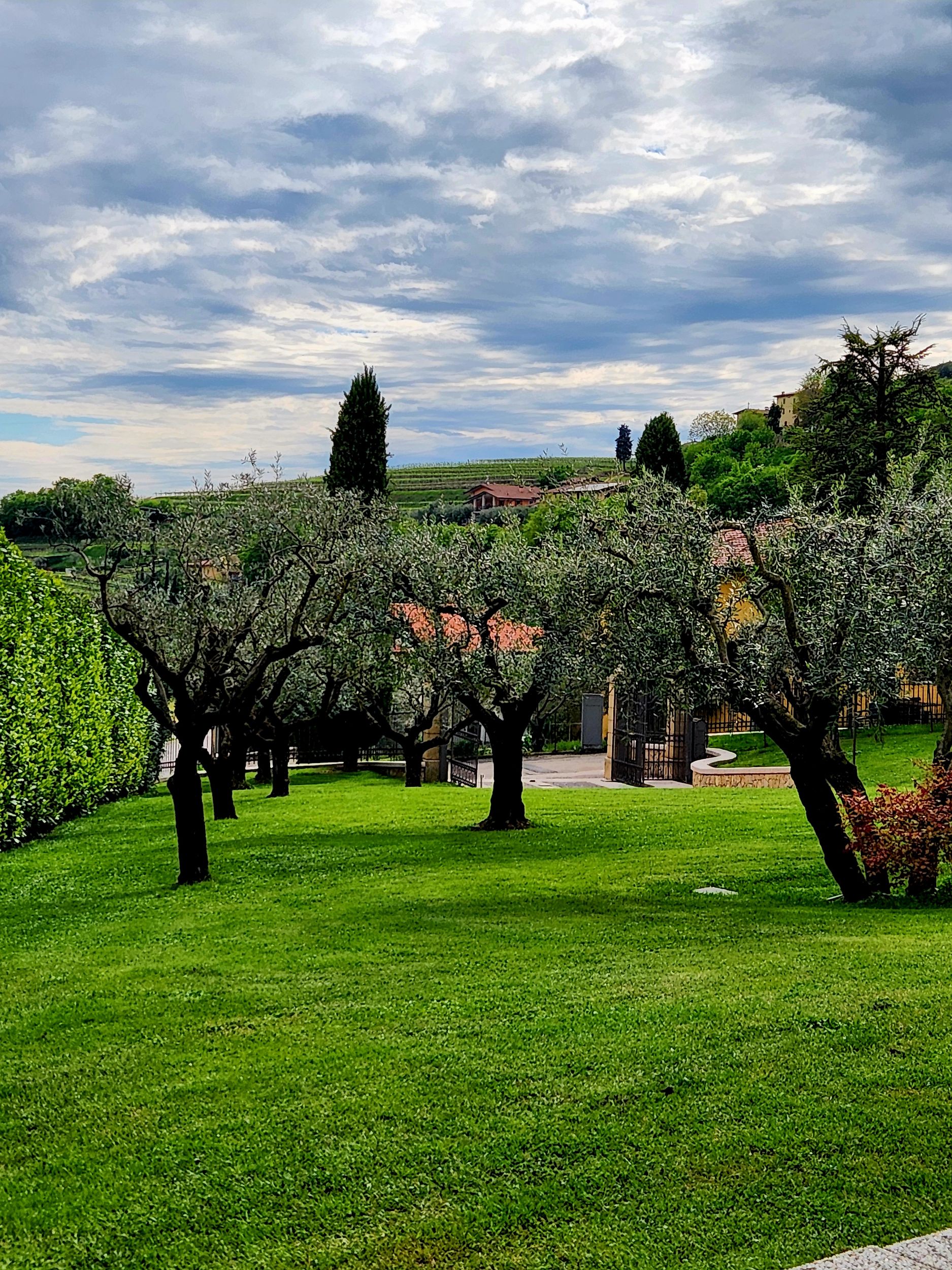 Lake Garda and the Valpolicella Wine Valley: A Private Tour