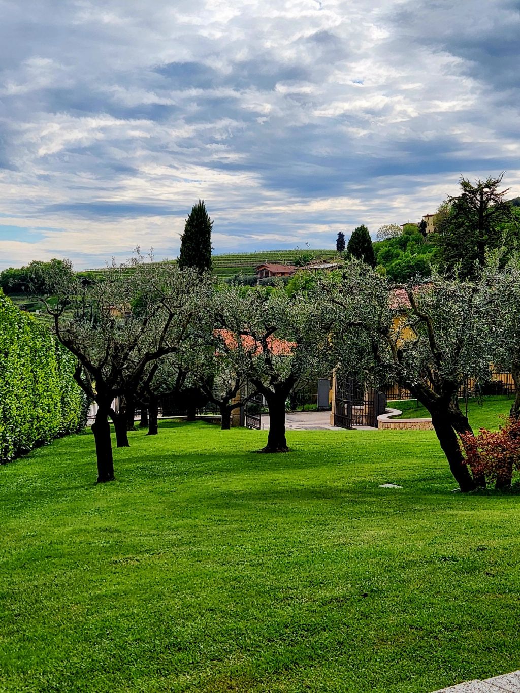 Lago di Garda & Valpolicella wine&nbsp;valley