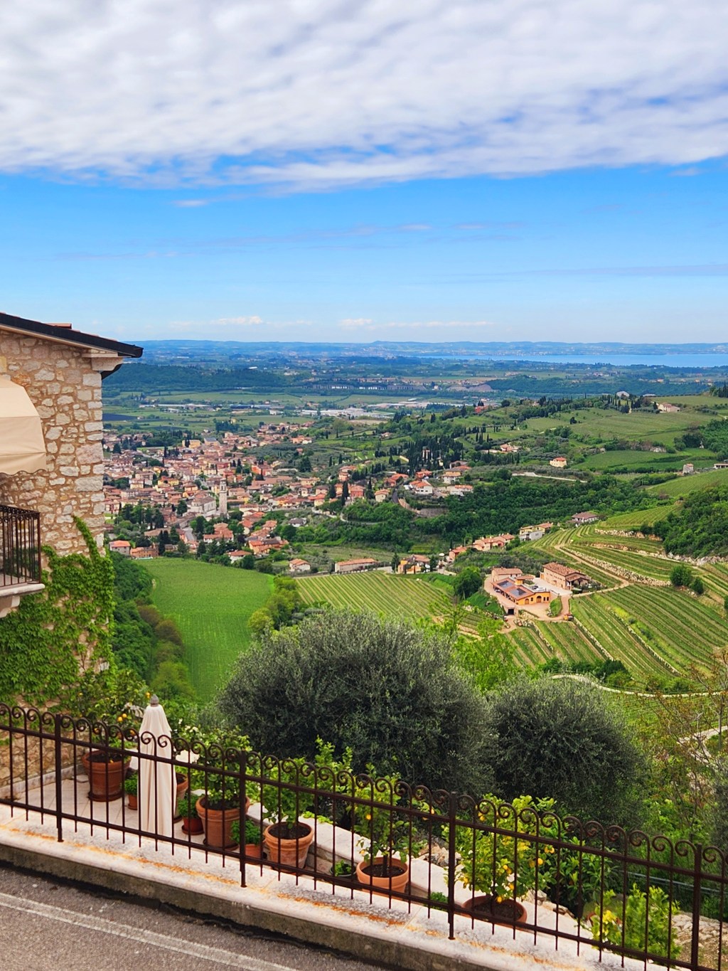 Travels With a Wine Focus